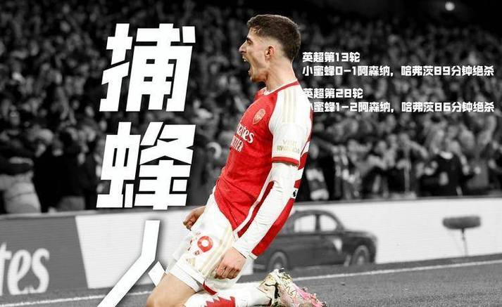 都是主力!阿森纳本月已有10人伤缺退出国家队:萨卡赖斯加布