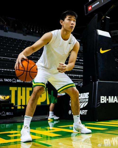 林葳申请转校离开俄勒冈大学NCAA生涯首年场均6.6分1.6助！