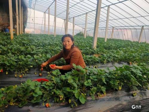 记者：利马伤愈重返大名单，莱西也将入选